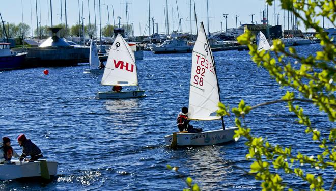Sailing in Tallinn is getting more and more popular ©  SW